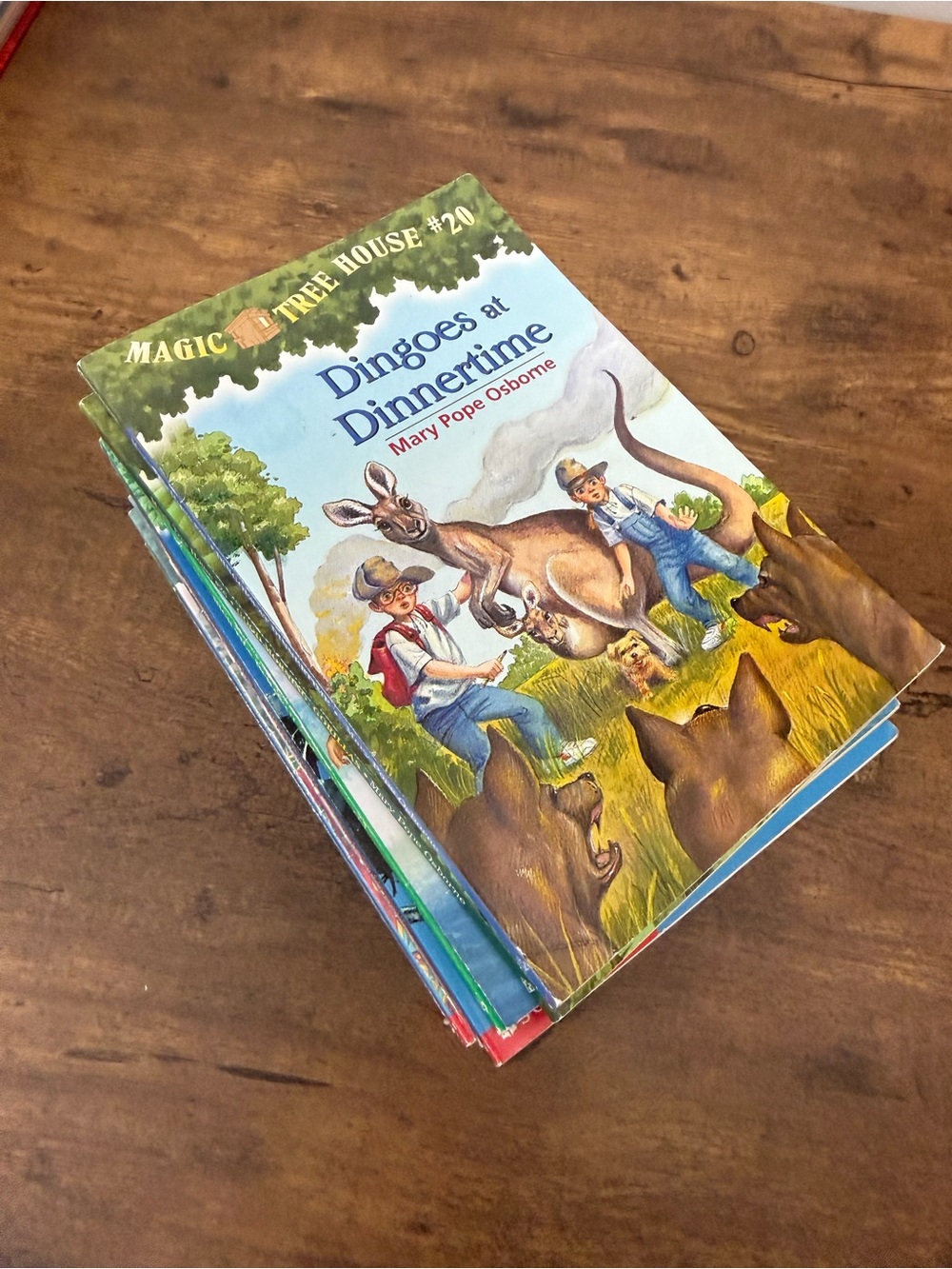 Magic Tree House Kids Book Lot of 15
